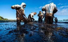 Oil spill clean up (File Photo)